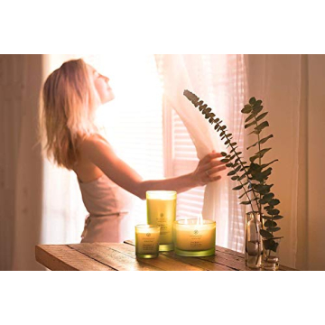 Chesapeake Bay Scented Candle Awaken Invigorate Lemongrass