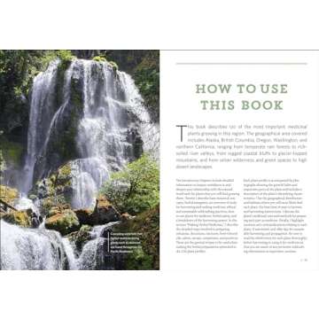 Pacific Northwest Medicinal Plants for Foraging and Health