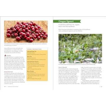 Pacific Northwest Medicinal Plants for Foraging and Health