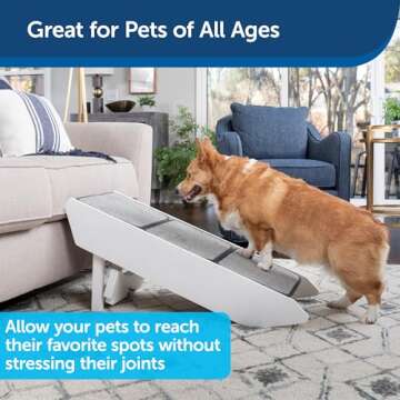 PetSafe CozyUp Steps and Ramp Combo for Small Dogs