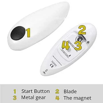 The Art of Color The Subjective Experience and Objective Rationale of Color.