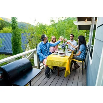 Traeger Tailgater Portable Electric Wood Pellet Grill