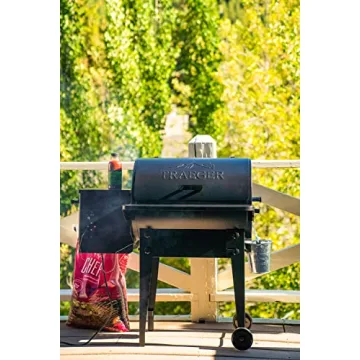 Traeger Tailgater Portable Electric Wood Pellet Grill