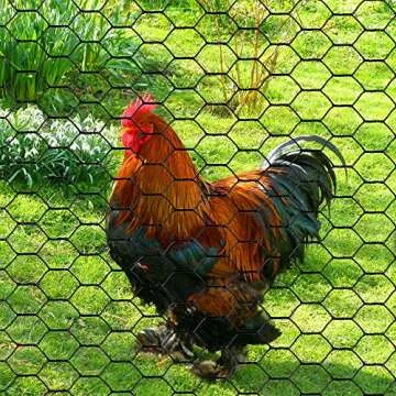 PVC Hexagonal Poultry Netting Chicken Wire 36" x50' x 1" Mesh 20GA Black
