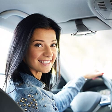 Sunglass Holder for Car Visor - Magnetic Leather Clip