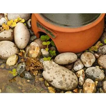 Wildlife World Ceramic Frog and Toad House