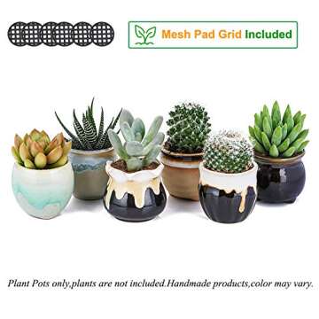 2.5 Inch Ceramic Planters,Flowing Glaze Succulent Planters Cactus Flower Plant Pot/Container Mini Succulent Plant Pots Black White Base Serial 6pcs in Set Plants Not Included