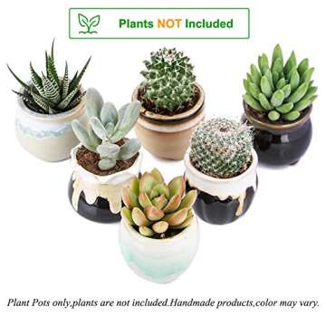 2.5 Inch Ceramic Planters,Flowing Glaze Succulent Planters Cactus Flower Plant Pot/Container Mini Succulent Plant Pots Black White Base Serial 6pcs in Set Plants Not Included