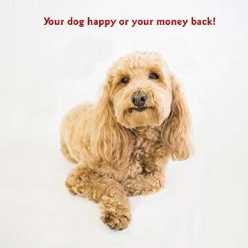 Majestic Pet Rectangle Large Dog Bed Washable – Non Slip Comfy Pet Bed – Dog Crate Bed Super Value Pillow Dog Bed – Dog Kennel Bed for Sleeping - Dog Bed Large Breed 46 x 35 Inch – Solid Khaki