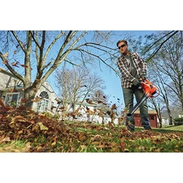 BLACK+DECKER Electric Leaf Blower, Leaf Vacuum and Mulcher 3 in 1, 250 mph Airflow, 400 cfm Delivery Power, Reusable Bag Included, Corded (BEBL7000)