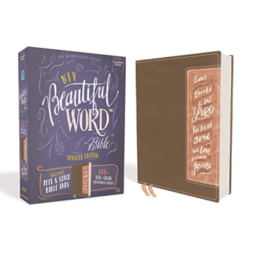 NIV Beautiful Word Bible with Illustrated Verses