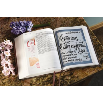 NIV Beautiful Word Bible with Illustrated Verses
