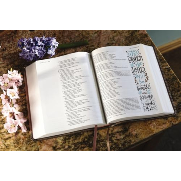 NIV Beautiful Word Bible with Illustrated Verses