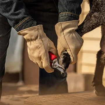 Wells Lamont Leather Men's Work Gloves - Small Size