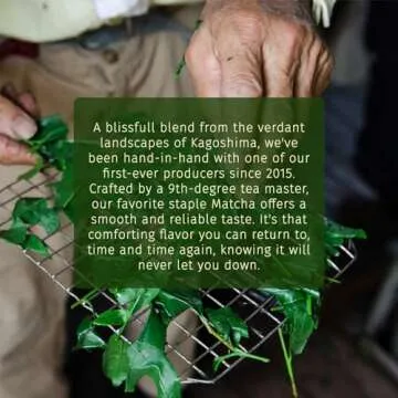 Exceptional Midori Spring Organic Japanese Matcha Powder