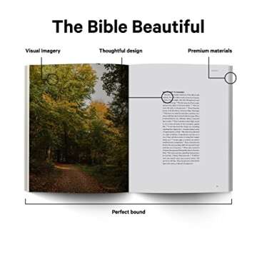 Book of Acts - Alabaster Bible