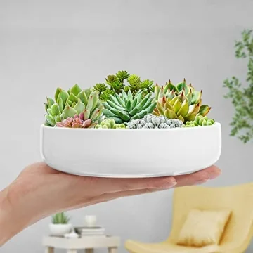 ZOUTOG Succulent Pots, 6 inch White Ceramic Flower Planter Pot with Bamboo Tray, Pack of 2 - Plants Not Included