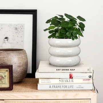 Ceramic Planter Pot, 6 Inch Bubble Planter with Drainage Hole, Large Flower Planter Pots for Indoor Plants Outdoor, Home Office Modern Décor(Creamy White)