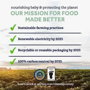 Gerber 1st Foods Organic for Baby Baby Food Apple, 4 oz Jar (10 Pack)