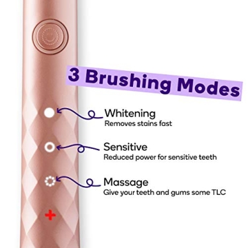 Burst Electric Toothbrush Deluxe Set for Plaque Removal