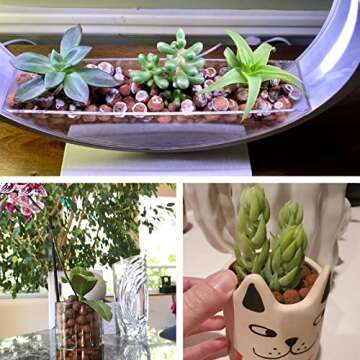 Halatool 4LB Leca Clay Pebbles for Healthy Plants