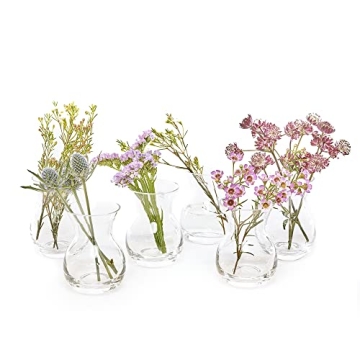 CHIVE George Glass Bud Vases - Set of 6 Elegant Flower Vases for Home Decor & Tables
