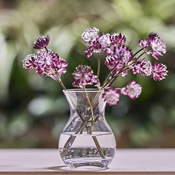 Elegant CHIVE George Glass Bud Vases Set of 6 - Home Decor