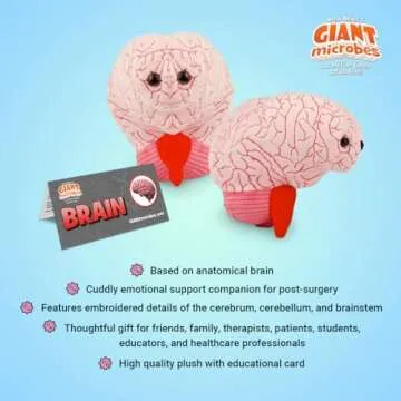 GIANTmicrobes Brain Plush, Brain Toy, Brain Stuffed Animal, Brain Gifts For Neurologist, Brain Surgery Recovery Gifts, Neurology Gifts, Neuroscience Gifts, Brain Injury Gift, Brain Decor, Biology Gift