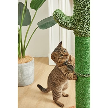 Durable Cactus Cat Scratching Post with Fun Dangling Ball