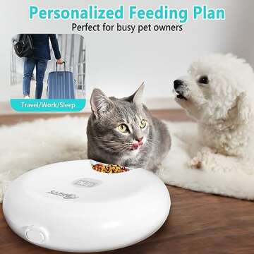Ownpets 6 Meals Automatic Cat Feeder for Wet/Dry Food, with 2 Ice Packs, Programmable Timed Pet Feeder, Cordless Rechargeable Battery Auto Feeder for Cats/Small Dogs