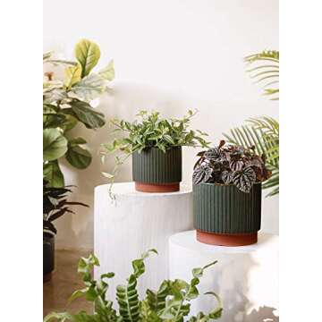 LE TAUCI 5.5+6.5+8 Inch Planter Pots with Drainage Hole
