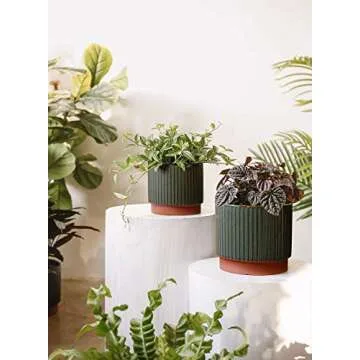 LE TAUCI 5.5+6.5+8 Inch Planter Pots with Drainage Hole