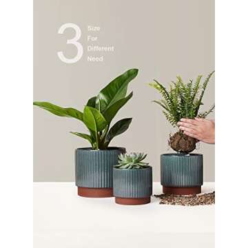 LE TAUCI 5.5+6.5+8 Inch Planter Pots with Drainage Hole