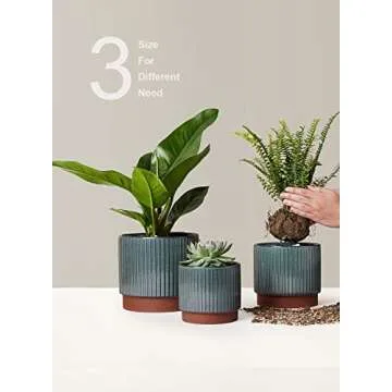LE TAUCI 5.5+6.5+8 Inch Planter Pots with Drainage Hole