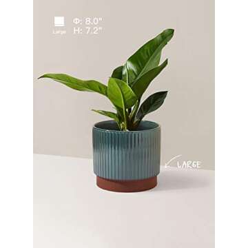 LE TAUCI 5.5+6.5+8 Inch Planter Pots with Drainage Hole
