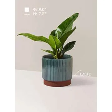 LE TAUCI 5.5+6.5+8 Inch Planter Pots with Drainage Hole
