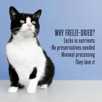 Whole Life Cat Just One Chicken Freeze Dried Cat Treats - Human Grade High Protein Food, Healthy Training Snacks, Freeze Dried Chicken Food Toppers, USA Made Natural Treats - 4 oz (Pack of 1)