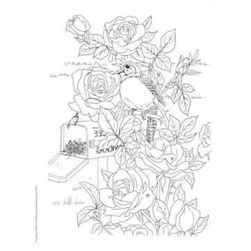 Adult Coloring Beautiful Birds Coloring Book (Adult Coloring Books: Animals)