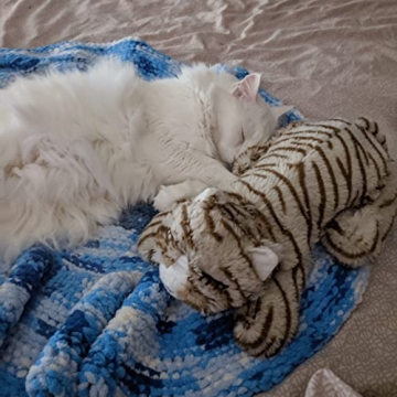 Snuggle Kitty: Heartbeat Stuffed Cat Toy for Comfort