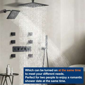 Luxury Thermostatic Dual Shower Heads System