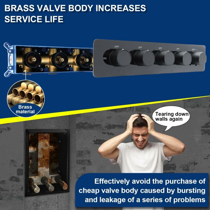 Luxury Thermostatic Dual Shower Heads System