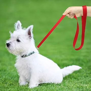 Durable Red Nylon Dog Leash - 6 Feet Strong & Lightweight