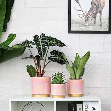 Gepege Pink Ceramic Indoor Plant Pots Set with Drainage