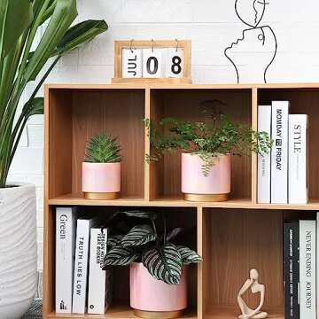 Gepege Pink Ceramic Indoor Plant Pots Set with Drainage