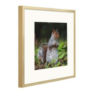 Golden State Art - 12x12 Metal Picture Frames with Mat - Display 8x8 Photo or 12x12 Poster - 12 x 12...