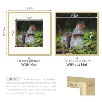 Elegant Golden State Art 12x12 Metal Picture Frames