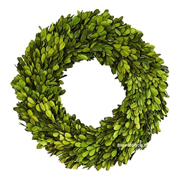 BOXWOOD WORLD Boxwood Wreath 14" Preserved Natural Boxwood Wreath Home Decor Keep Fresh for Years Ho...