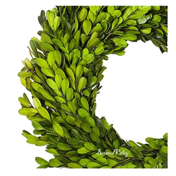 BOXWOOD WORLD Boxwood Wreath 14" Preserved Natural Boxwood Wreath Home Decor Keep Fresh for Years Home Wreath Decor (Preserved Boxwood)