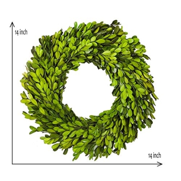 BOXWOOD WORLD Boxwood Wreath 14" Preserved Natural Boxwood Wreath Home Decor Keep Fresh for Years Home Wreath Decor (Preserved Boxwood)
