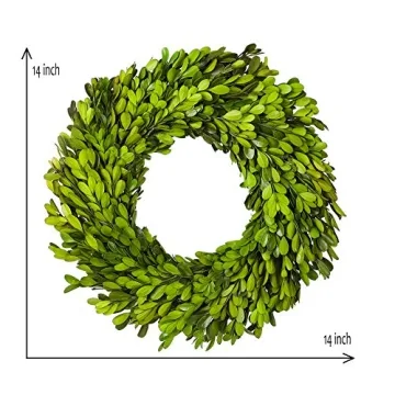 BOXWOOD WORLD Boxwood Wreath 14" Preserved Natural Boxwood Wreath Home Decor Keep Fresh for Years Home Wreath Decor (Preserved Boxwood)